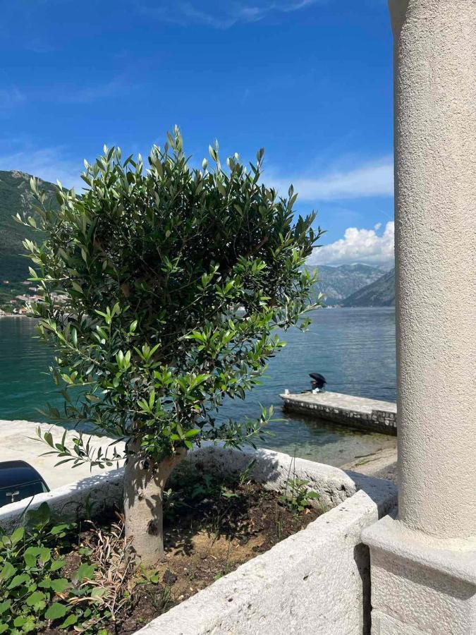 Appartamento Sea Front 171 Cattaro Esterno foto